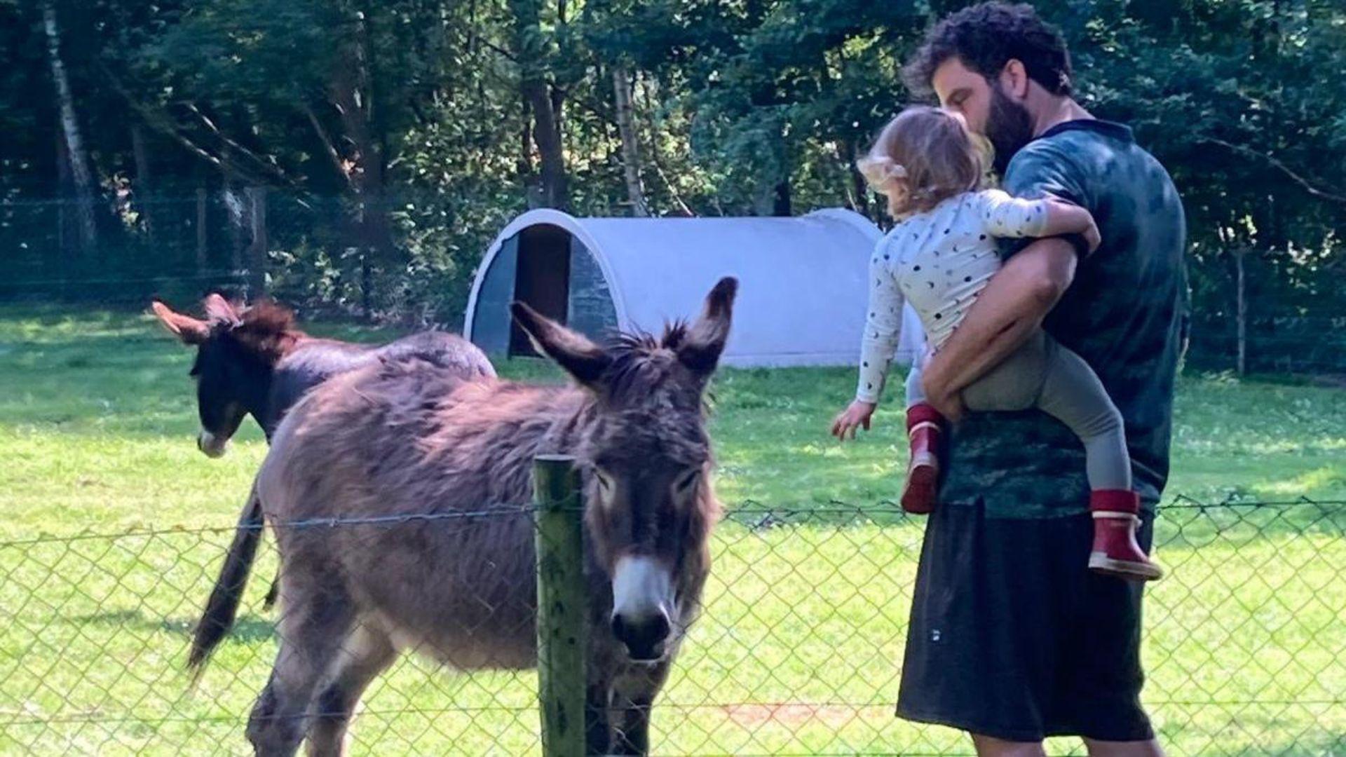 Weekendagenda ZO!34: van ezels tot jazz