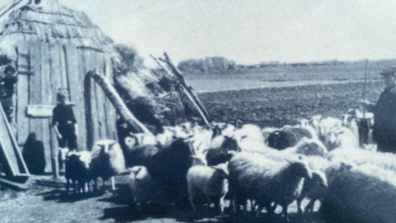 Historische route Bargerveen