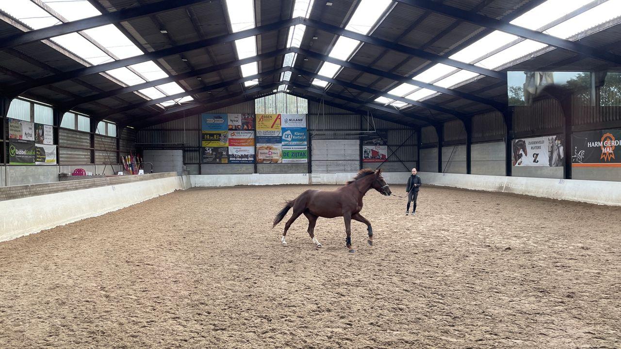 De manege in Sleen heeft een compleet nieuw dak