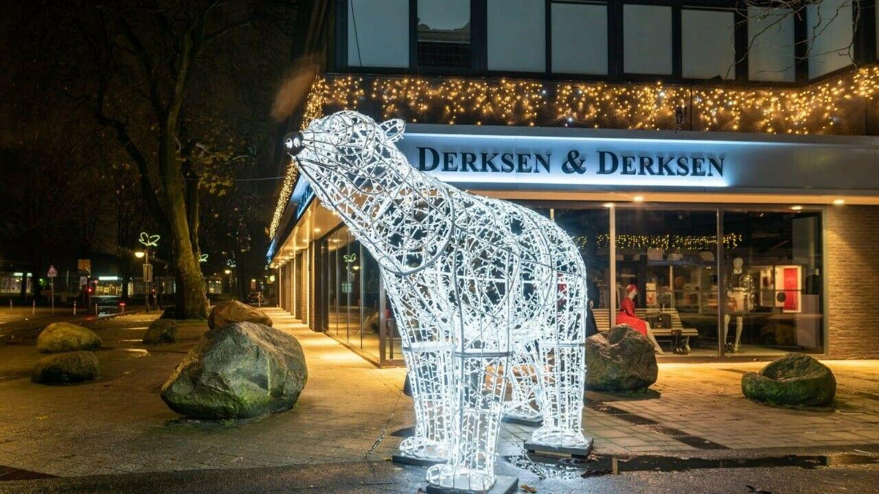 Ijsbeer Emmen