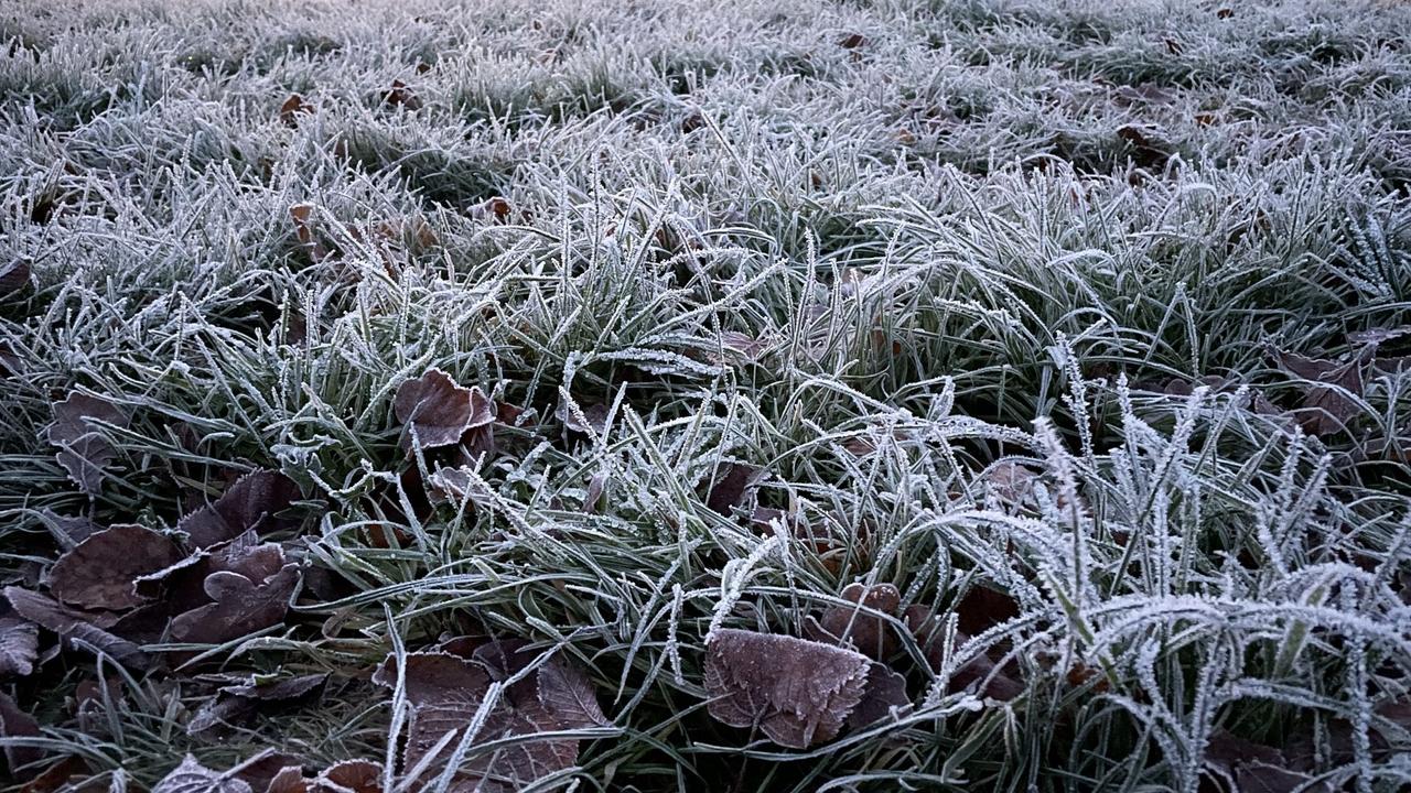 De vorst was goed zichtbaar vanochtend in Nieuw-Buinen