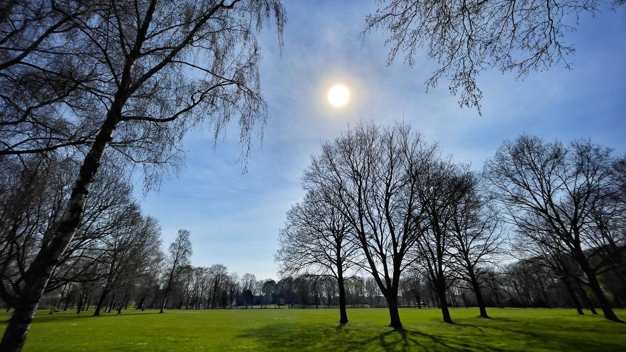 Het gras moet plaatsmaken voor bloemen en kruiden
