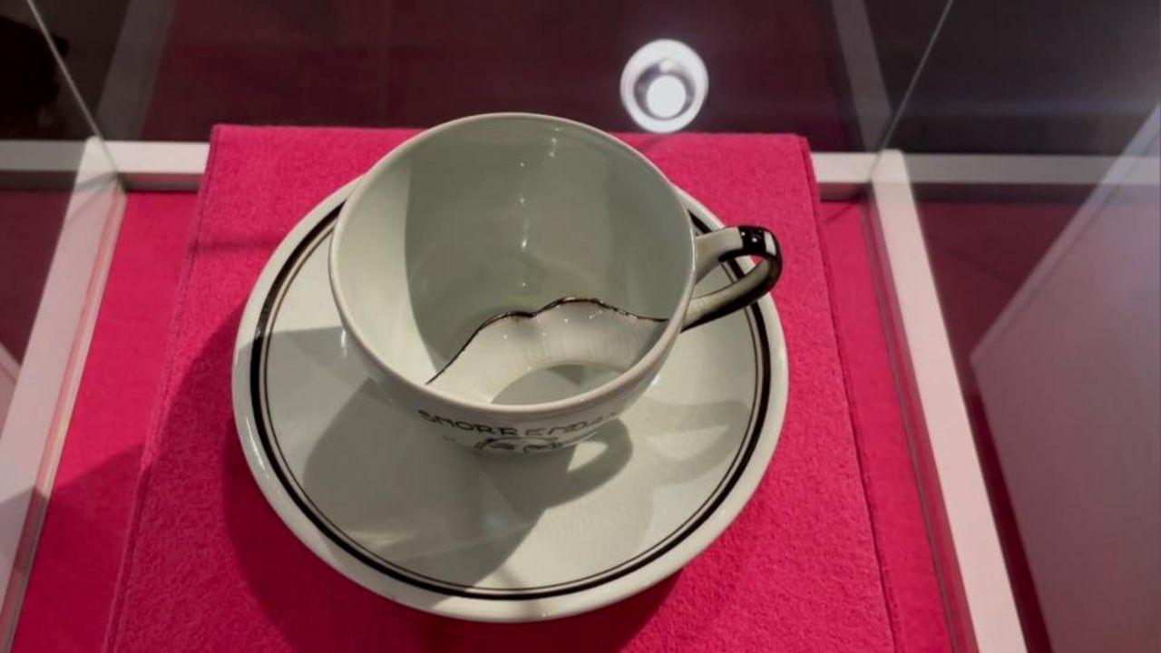 Tentoonstelling ijdeltuit Museum Collectie Brands