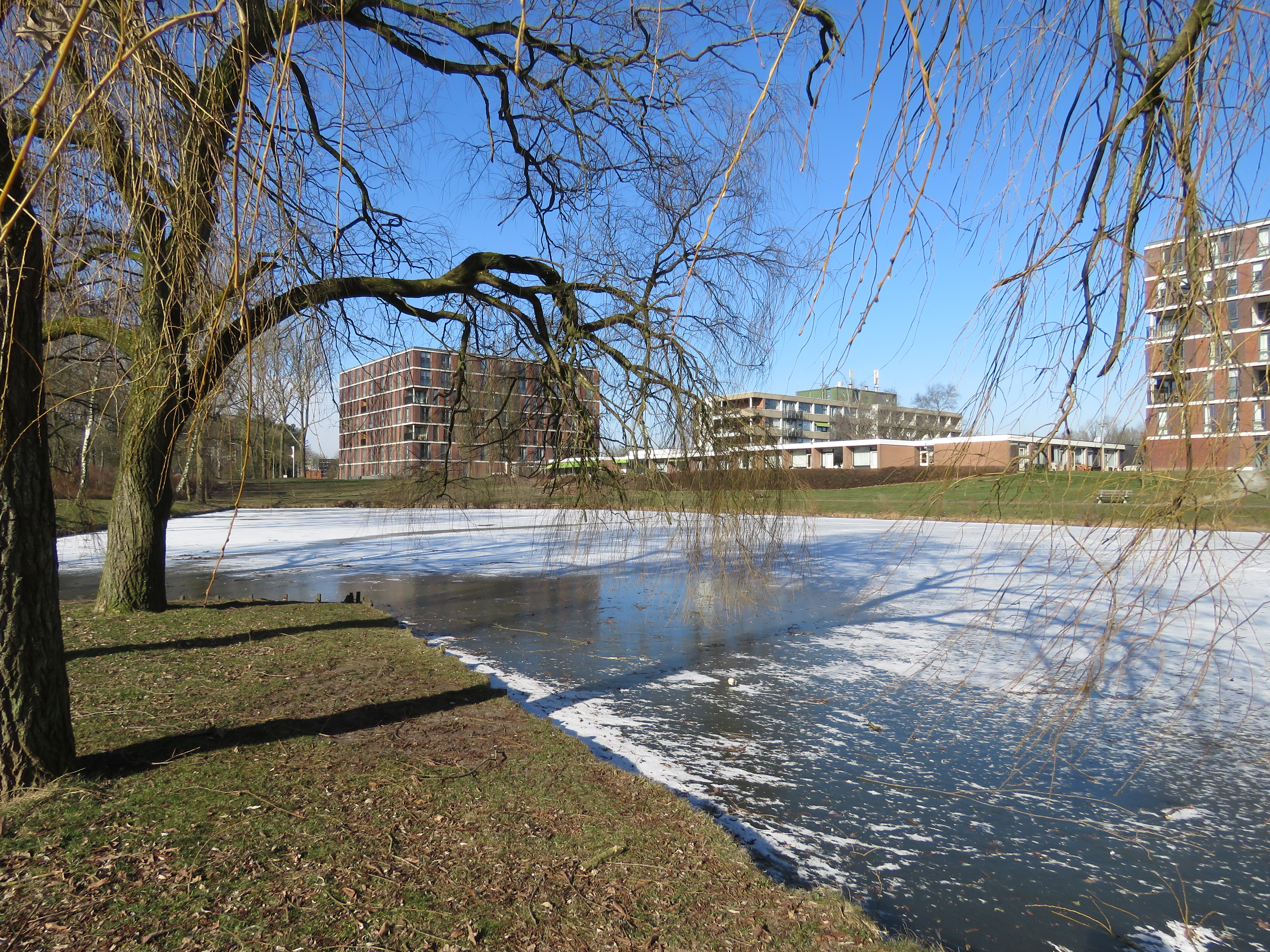 Verstopping oorzaak stankoverlast vijver Emmerhout